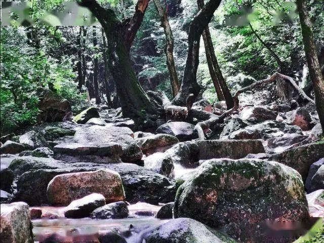 蝴蝶消消乐
